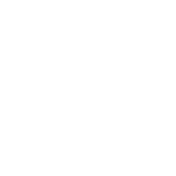 STRANGERS logo